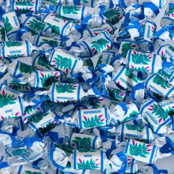 de Bron Mint Toffees suikervrij 1 Kg