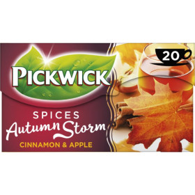 Pickwick Autumn Storm Thee 20 x 2g