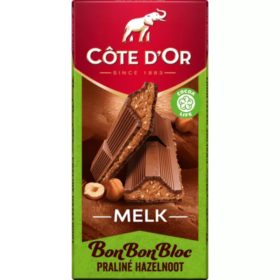 Cote dOr Bon Bon Bloc Melk Praline Hazelnoot 200g