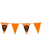 Oranje Leeuw vlaggenlijn 6 meter lang met 15 puntvlaggen