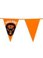 Oranje Leeuw vlaggenlijn 6 meter lang met 15 puntvlaggen